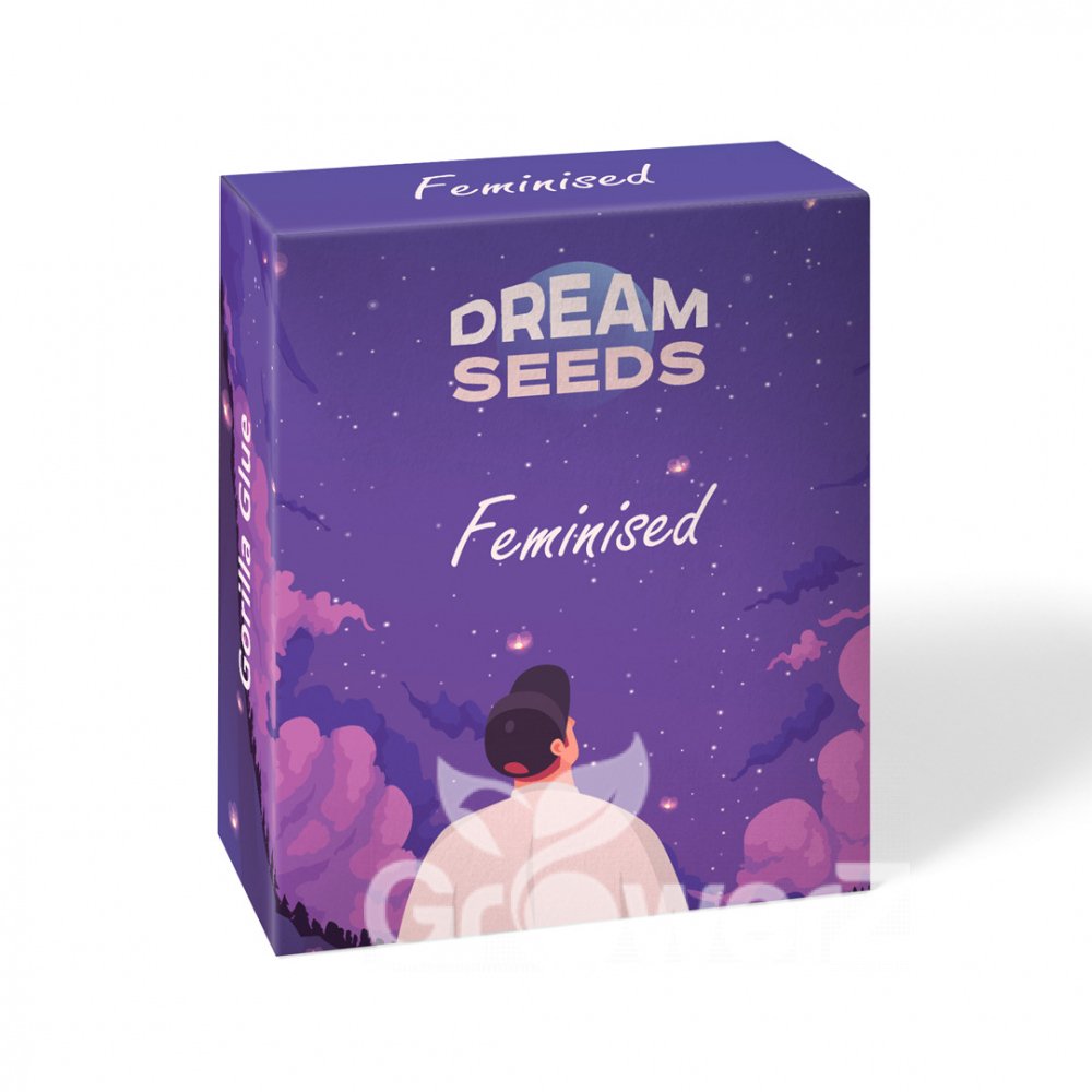 Future #1 Fem.